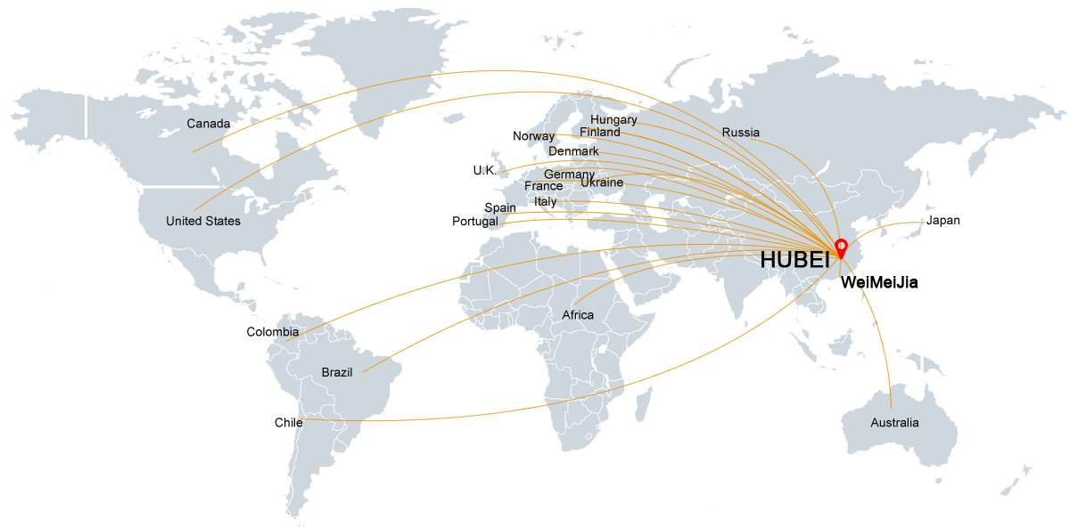 Sales Network